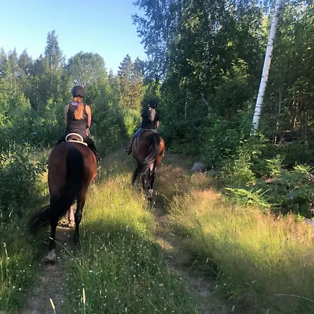 Pinewood Mini-hôtel Mantsala